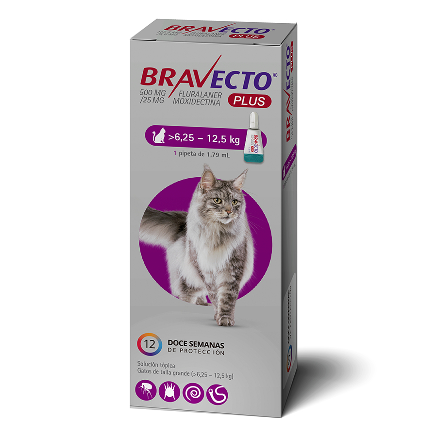 Bravecto Plus de 500 MG para gatos desde 6.25 a 12.5 KG